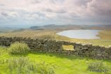 Broomlee Lough